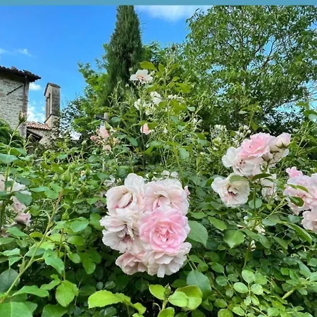 Borgo Spescia -la Bizantino- Piscina Parco Relax Гостевой дом 3*
