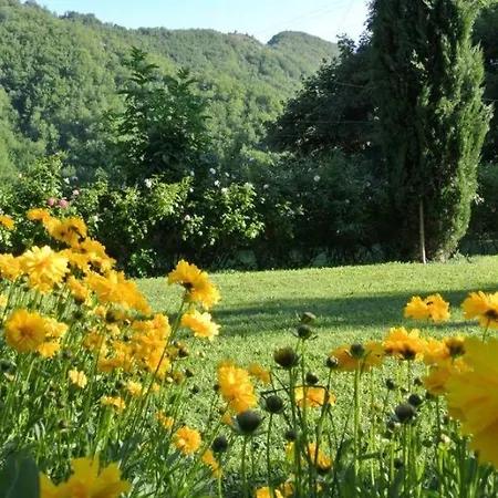 Borgo Spescia -la Bizantino- Piscina Parco Relax